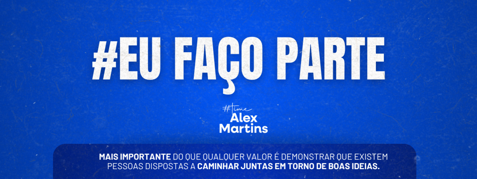 Professor Alex Martins